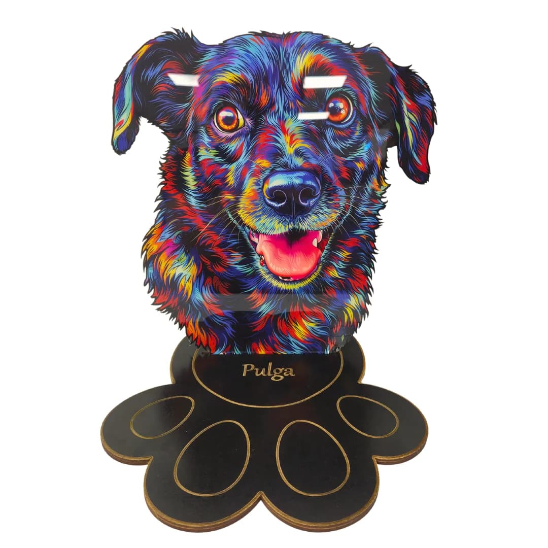 Troféu do Seu Pet no Contorno Colorido - MDF ou Acrílico com Base de Patinha (segunda foto)