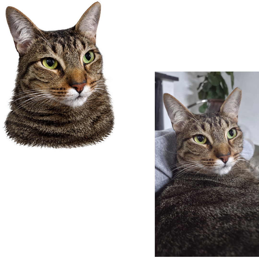 Sua Foto com Molde Contorno Gato - Quebra-Cabeça Personalizável Premium