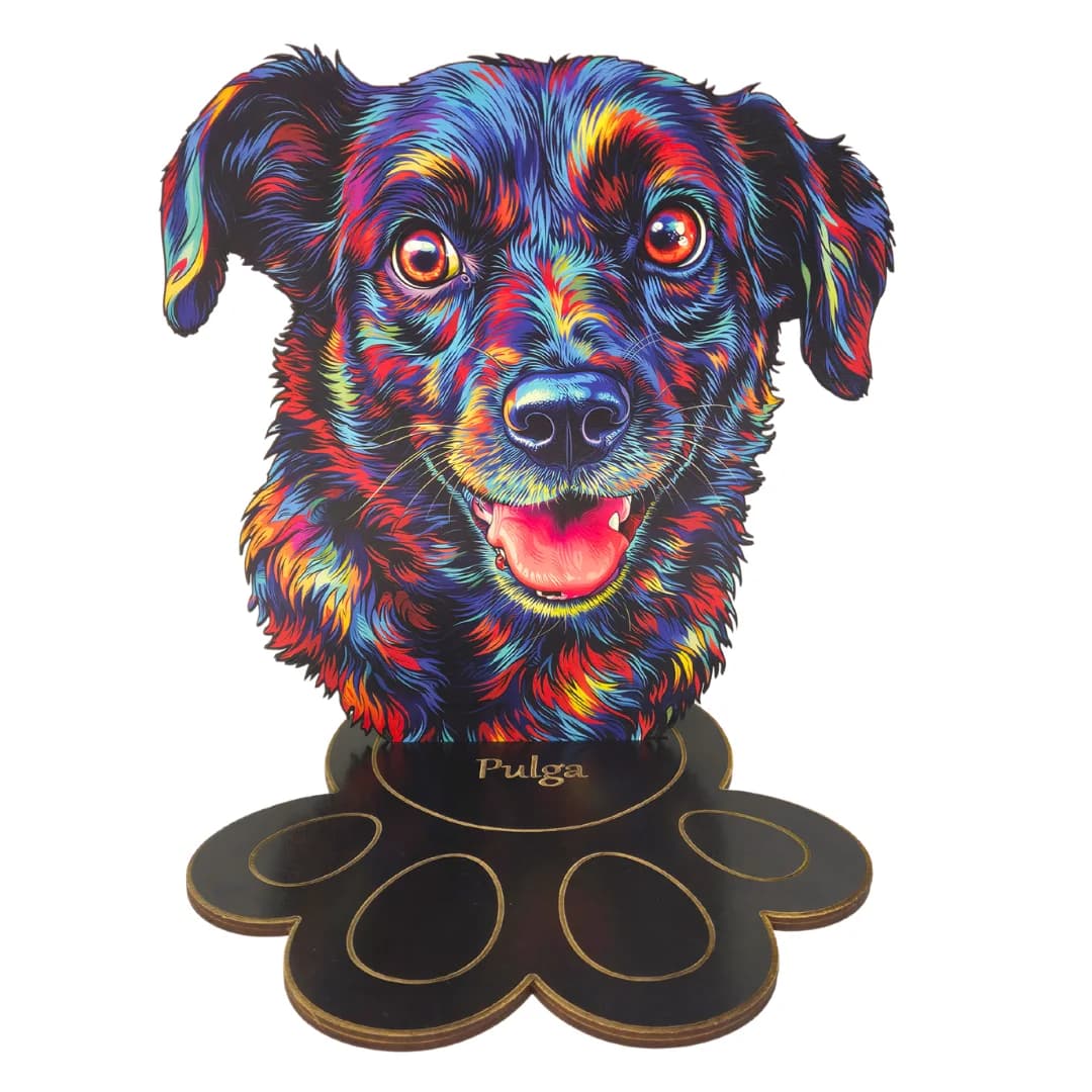 Troféu do Seu Pet no Contorno Colorido - MDF ou Acrílico com Base de Patinha