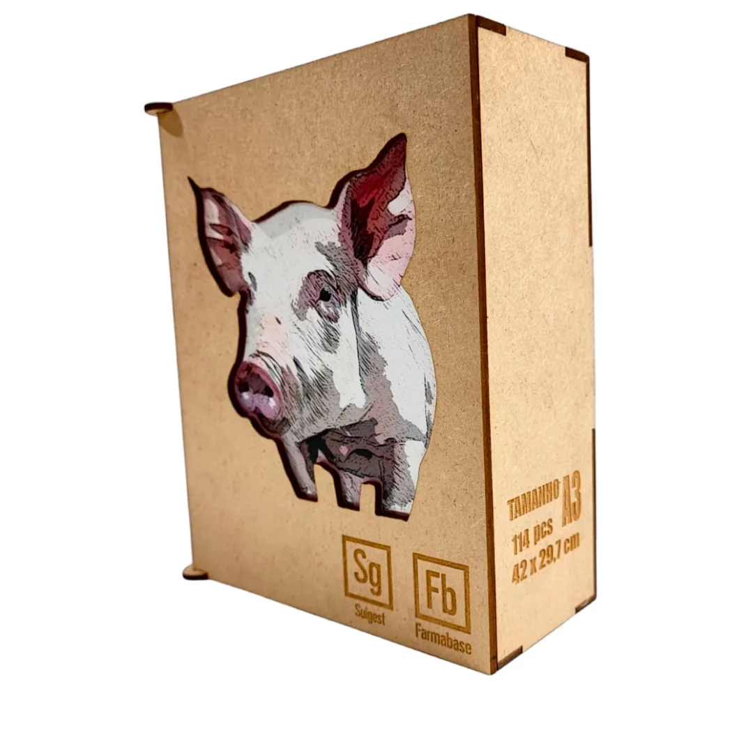 Caixa premium personalizada